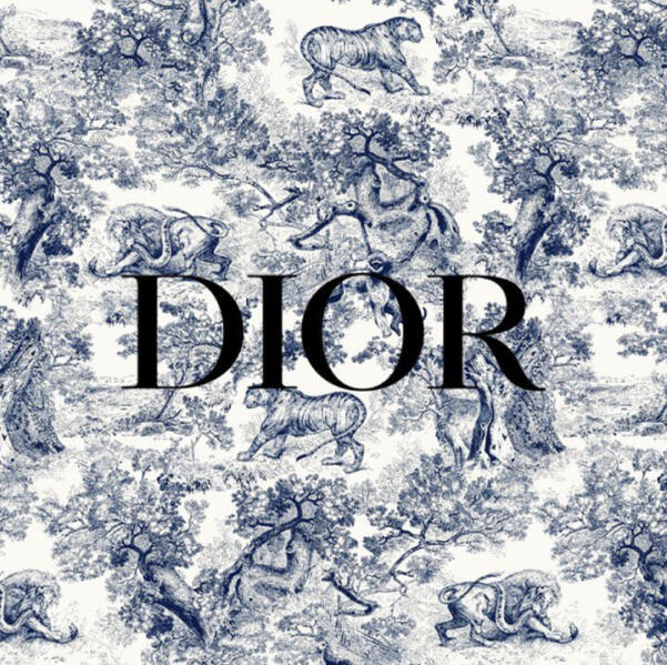 DIOR - Luxury brand